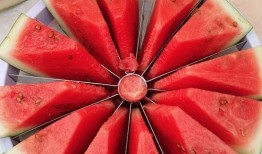 吃瓜真实爆料 吃瓜网每日大赛,真实爆料背后的精彩瞬间